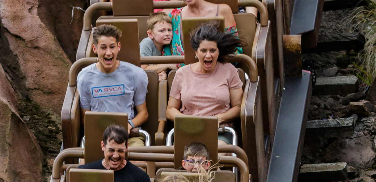 Roller Coaster