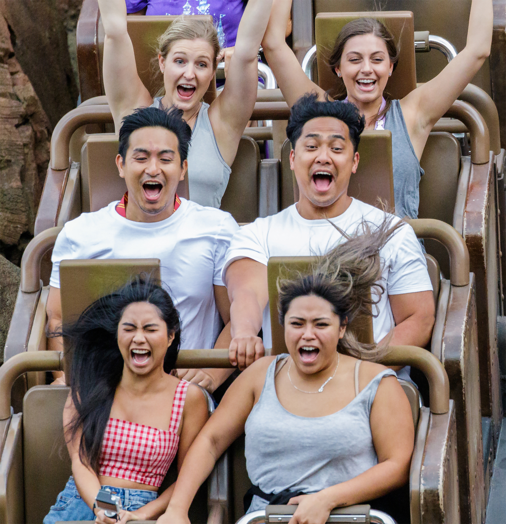 Roller Coaster
