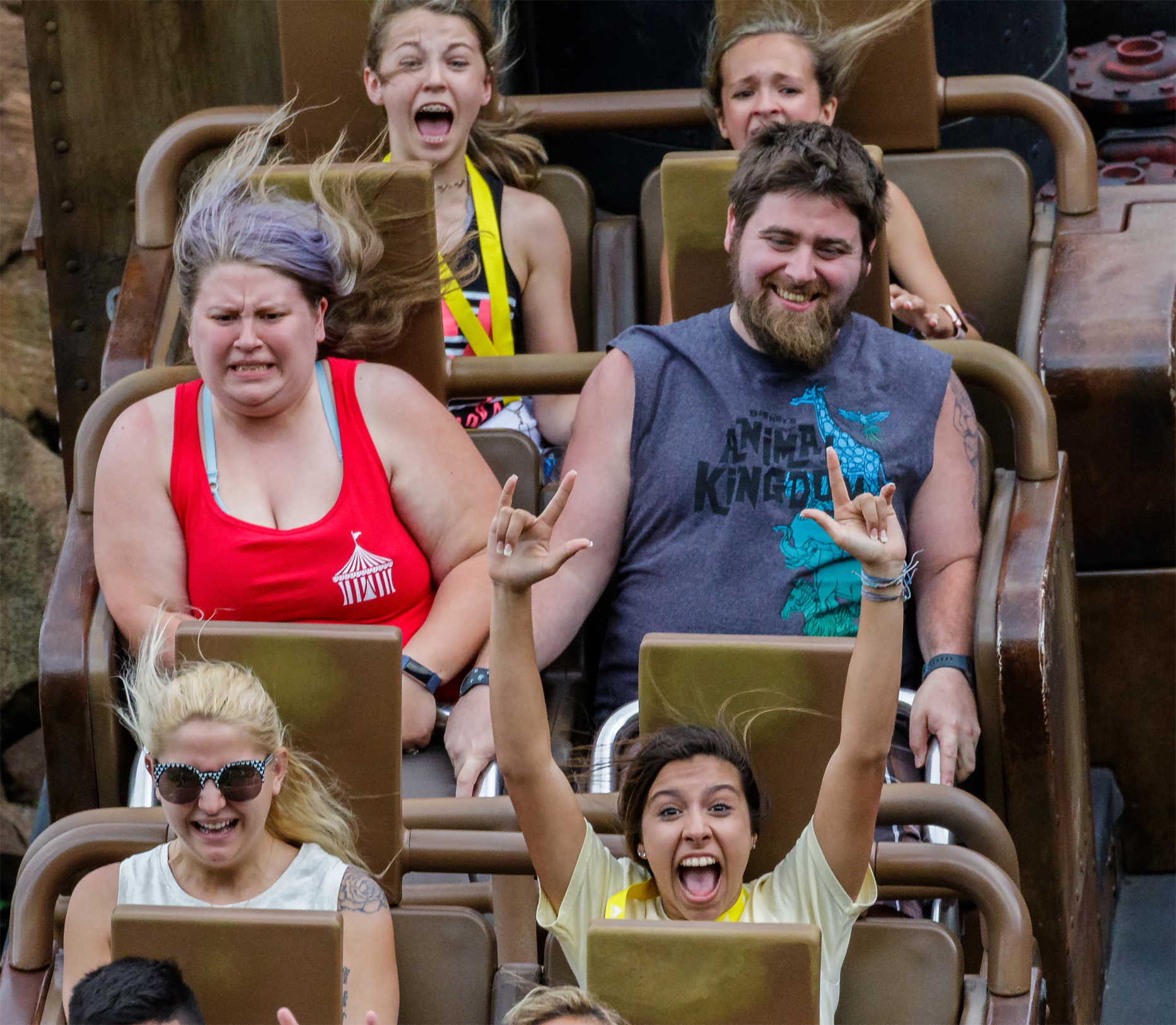 Roller Coaster
